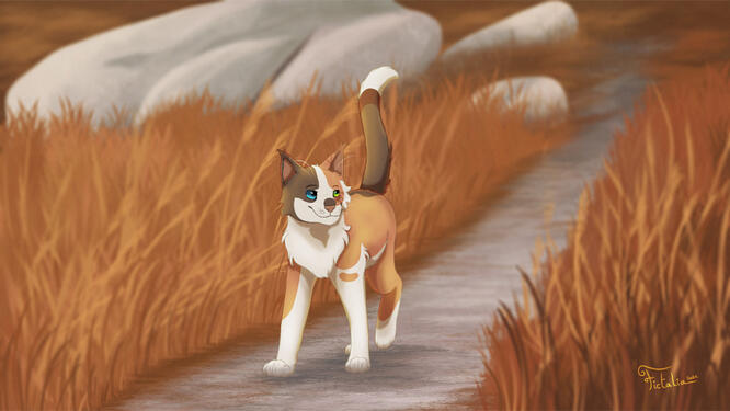 Hiking through the valley - 2022