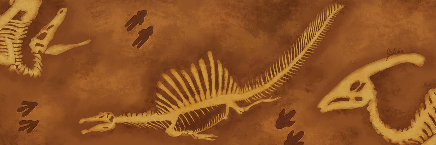 Fossils Banner - 2025